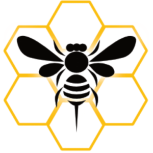Swarming Bee Logo, Web Design, Website Design, Website Management