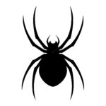 Swarming Bee Web Design, Web Design Lincoln, Website Designer, Website Management