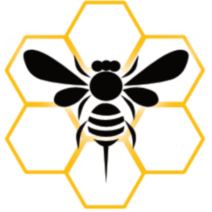 Swarming Bee Web Design Logo, Web Designer