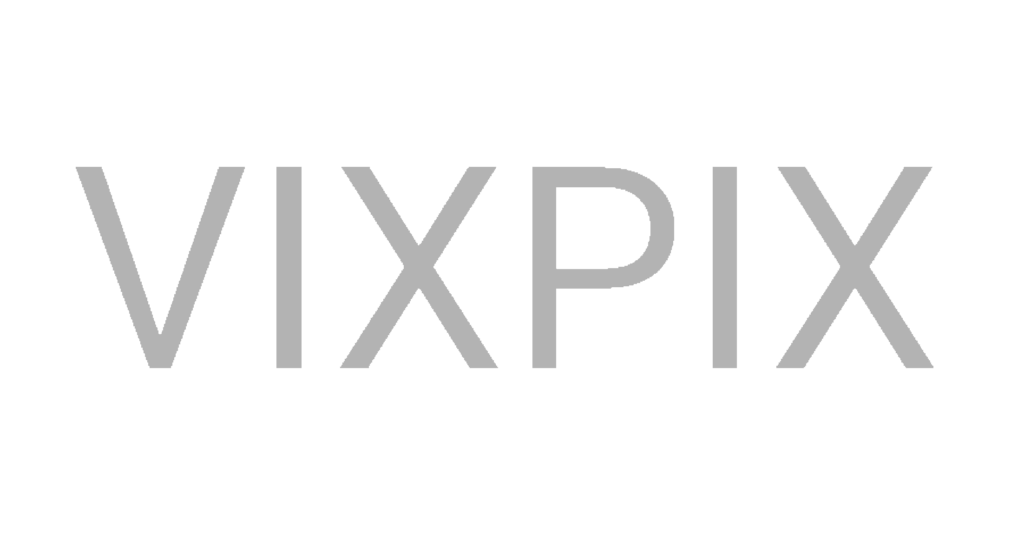 VIXPIX, Swarming Bee Web Design